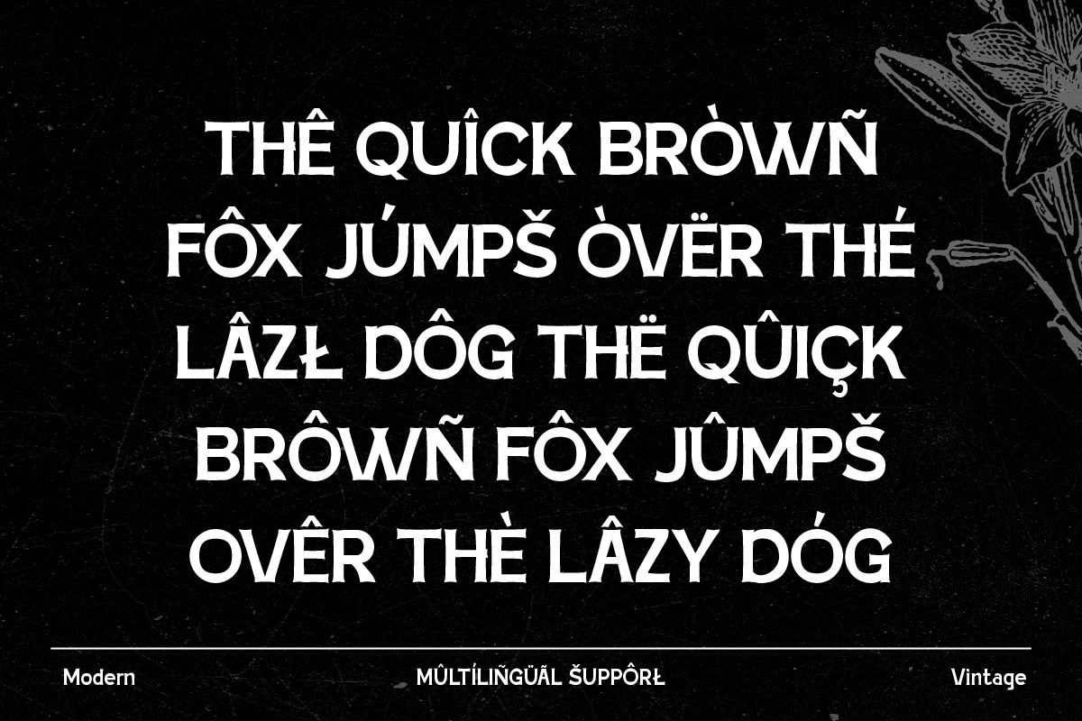 Dipeko - Retro Font, a Slab Serif Font by trabaskriya (Photo 4 of 8)