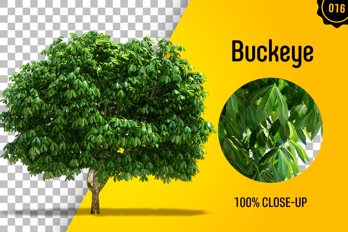 CUT OUT TREES - 60 PCS BUNDLE, a Packaging Mockup by 3DSTORE (Photo 17 of 63)