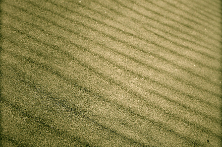 Sandy containing sand, beach, and abstract