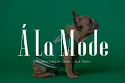 A La Mode, a Font by Loudoun Design Co. (Thumbnail 1 of 5)