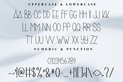 Perfect Together, a Serif Font by FreshTypeINK (Thumbnail 4 of 8)