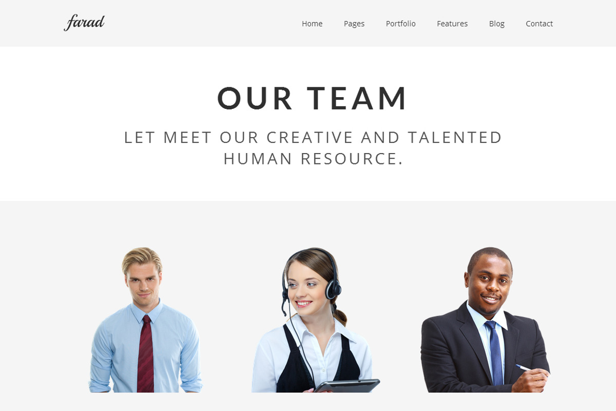 Farad WordPress Theme, a WordPress Template by DesignOrbital (Photo 4 of 5)