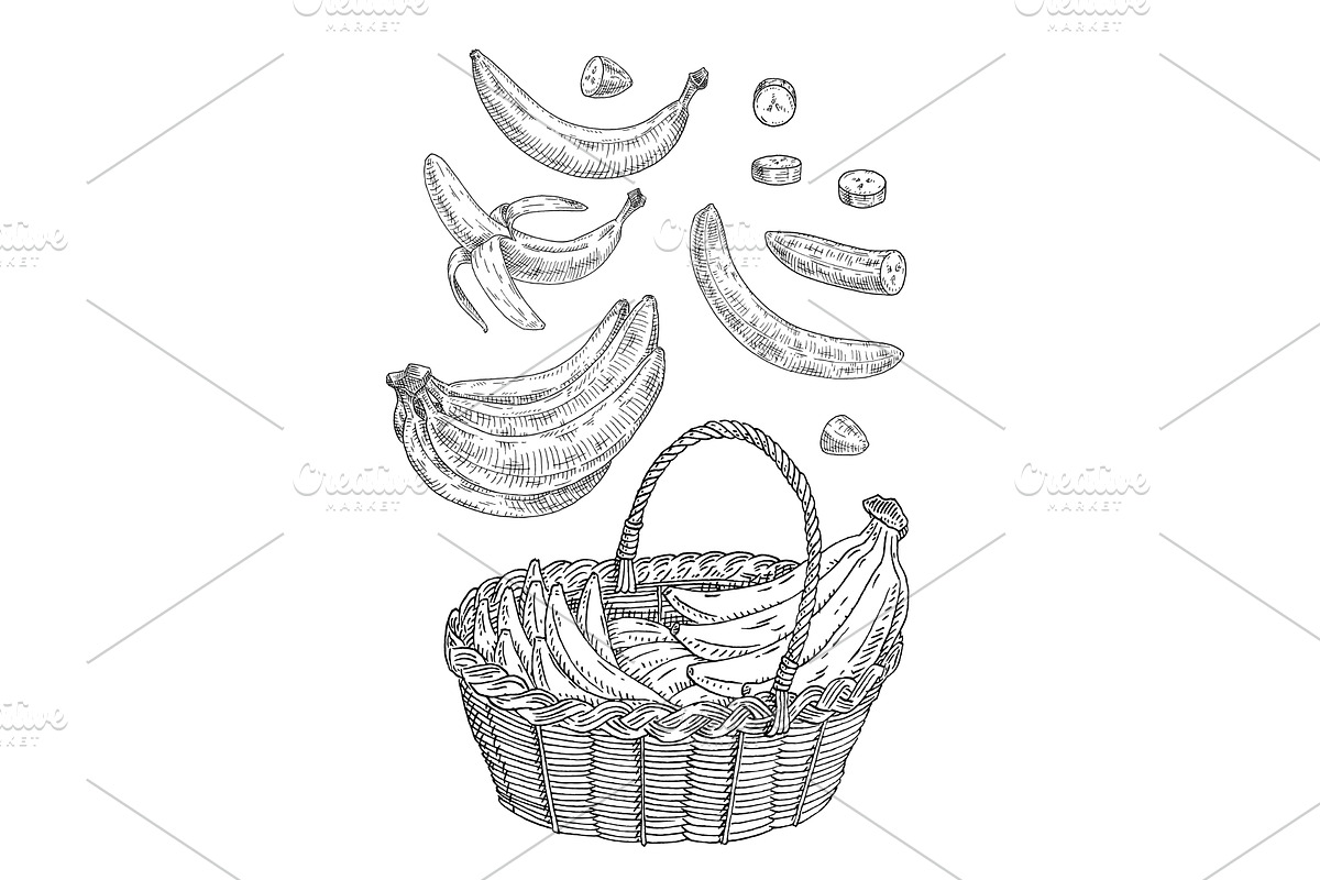 Basket with branch fresh banana, an Object Illustration by MoreVector
