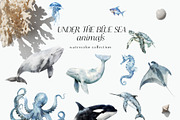 Watercolor underwater ocean animals, an Animal Illustration by Grace Noboa Illustrations (Thumbnail 7 of 9)