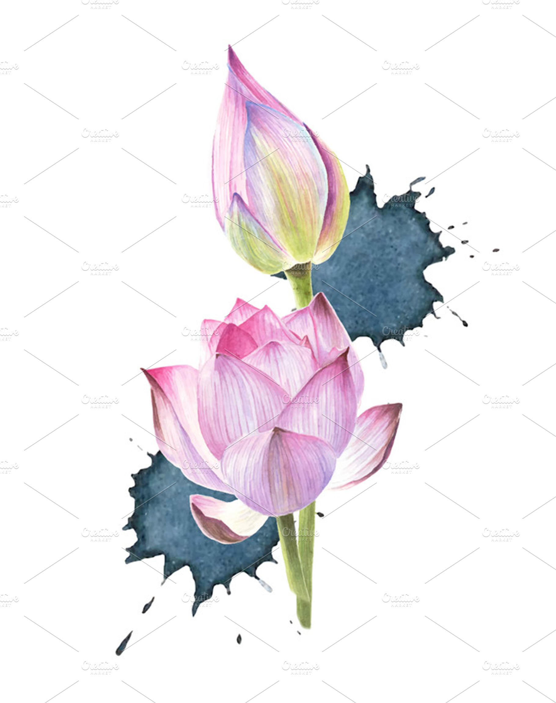 watercolour water lilies, a Photo by Verlena's Corner