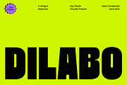Dilabo - Bold Condensed Sans Serif, a Sans Serif Font by Say Studio (Thumbnail 1 of 10)