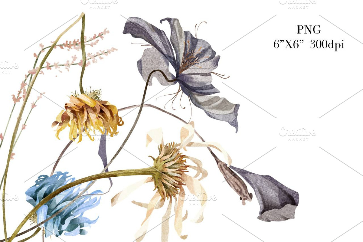 Dry Flowers Watercolor Clipart, a Decorative Illustration by NKTKNS (Photo 5 of 6)