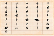 Hand-crafted Herbal Imptints, an Object Graphic by Dervik Art Store (Thumbnail 9 of 10)