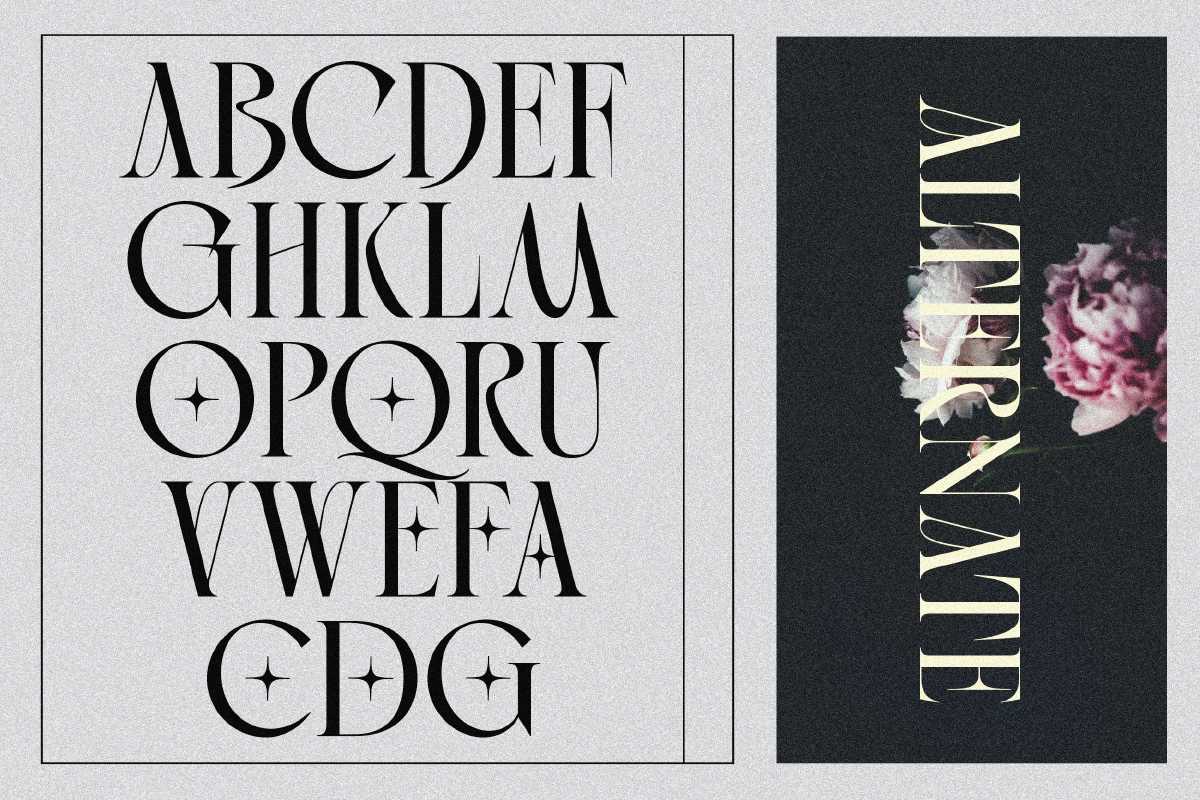 Golden Brown - Modern Serif Typeface, a Serif Font by Comactype Foundry (Photo 20 of 20)