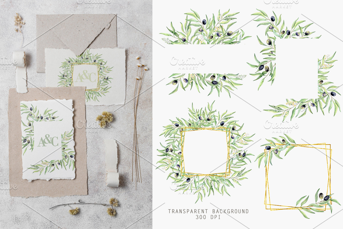 Olive Branches Watercolor Set, a Decorative Illustration by Daryartsy (Photo 4 of 11)