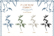 Vintage Vector Ornaments & Frames, a Decorative Illustration by Pamyatka Shop (Thumbnail 7 of 14)