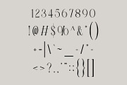 Galileo Sleek Classic serif Font, a Serif Font by WhymoreArt (Thumbnail 11 of 11)