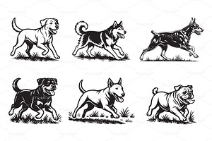 Vector set featuring six popular dog, an Animal Illustration by yod67