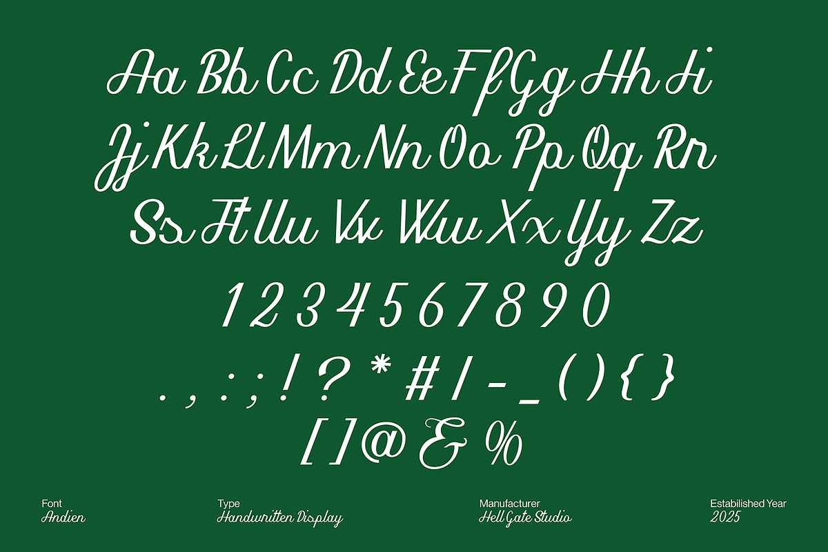 Andien Script Font, a Script Font by GRVS Studio (Photo 2 of 4)