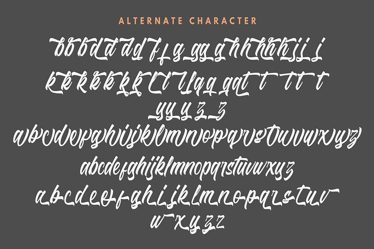 Riverside - Script Font, a Script Font by Inspiratype (Photo 11 of 12)