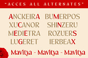 Mavitya, a Serif Font by Dora Typefoundry (Thumbnail 9 of 12)
