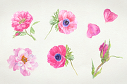 Flowers watercolor set, a Work Illustration by lapi-olesya (Thumbnail 2 of 4)