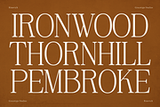 Rinovich | Display Serif Font, a Serif Font by gracetype_studio (Thumbnail 2 of 12)