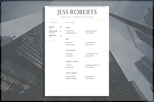 Professional CV Template Resume