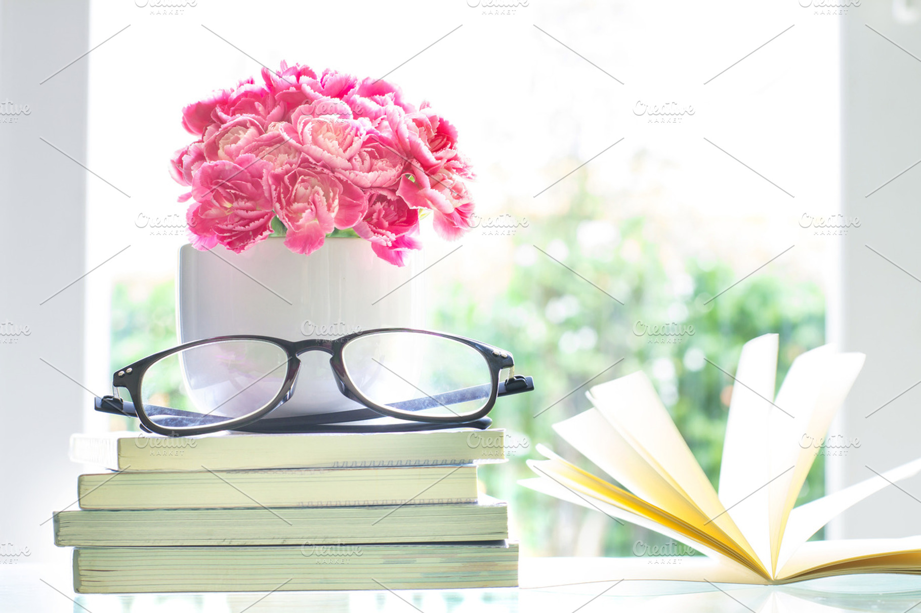 Pink carnation flower with books, a School & Education Photo by Cozine