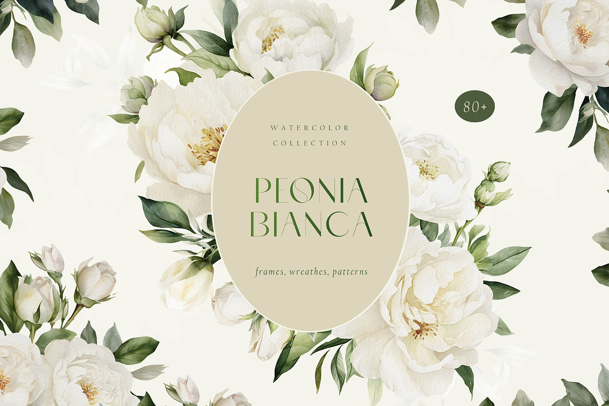 Watercolor wedding white peonies, a Decorative Illustration by MariGraphic boutique (Photo 10 of 10)