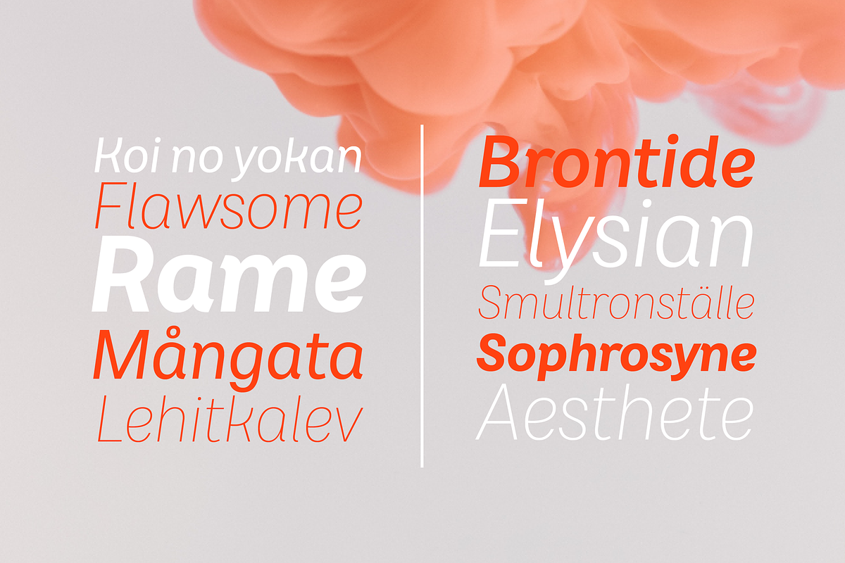 Brahmana, a Sans Serif Font by OceaneM (Photo 8 of 9)