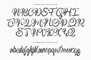 Antonia Morben Font Duo, a Script Font by IM Studio (Thumbnail 8 of 9)