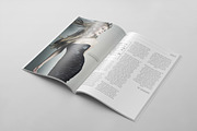 Magazine Template 57, a Magazine Template by pmvch (Thumbnail 3 of 10)