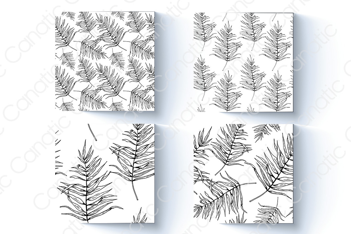Palm leaf. Hand sketch and patterns, an Illustration by Canatic (Photo 4 of 7)
