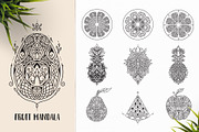 530 Vector Mandala Ornaments, an Animal Illustration by pixaroma (Thumbnail 10 of 55)