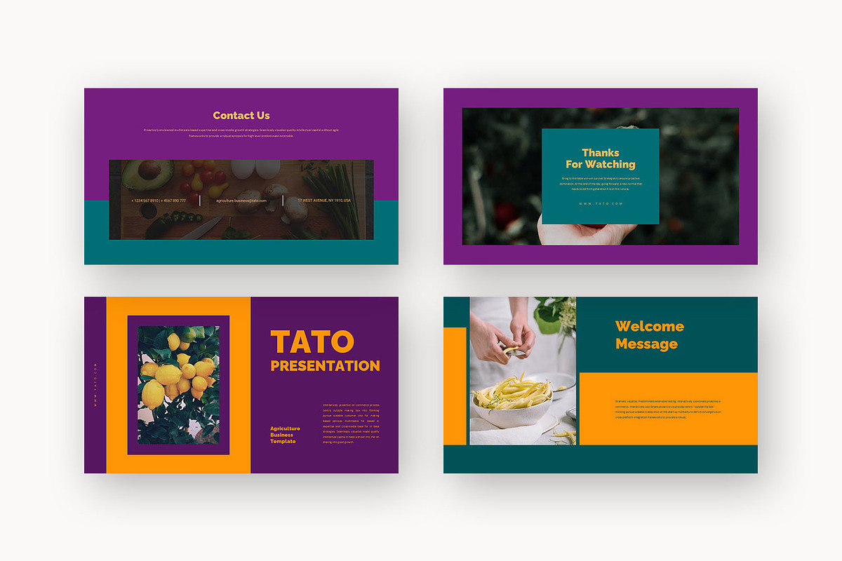 Tato : Farm Business Google Slides, a Presentation Template by Punkl Camp (Photo 9 of 16)