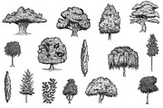 Hand drawn plants, an Object Illustration by CGterminal (Thumbnail 2 of 7)