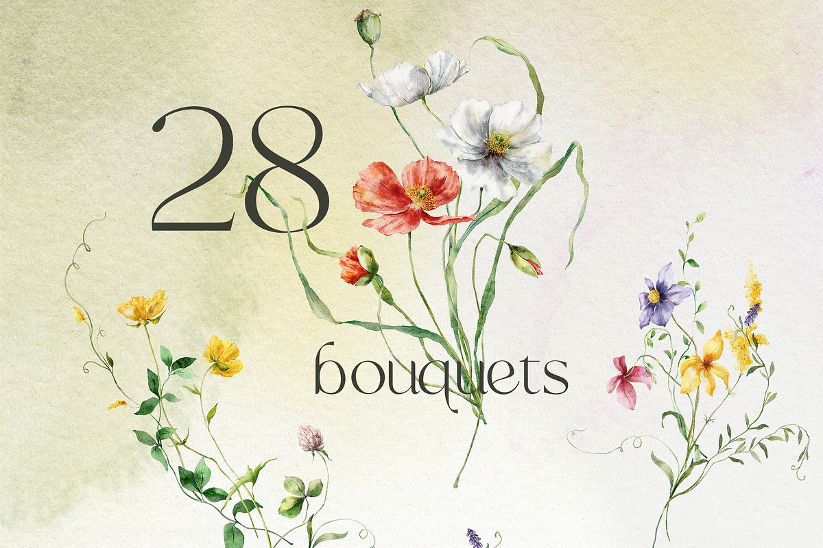 Wildflower poetry watercolor floral, a Decorative Illustration by Yuliya Derbisheva (Photo 3 of 13)