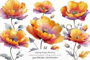 Whimsical spring poppy flowers Png, an Illustration by SinaCreation