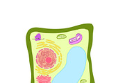 Biology & Anatomy goodnotes stickers, an Education Illustration by Noorist (Thumbnail 14 of 32)