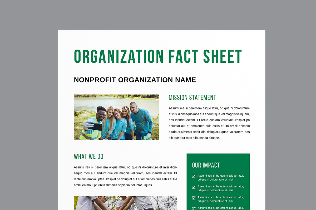 Nonprofit Organization Fact Sheet, a Flyer Template by MightyDesign (Photo 4 of 8)