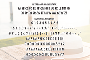 Sunday Summer | Script Font, a Script Font by Scratchones (Thumbnail 7 of 8)