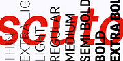 Scuto Sans, a Sans Serif Font by Pepper Type (Thumbnail 2 of 11)
