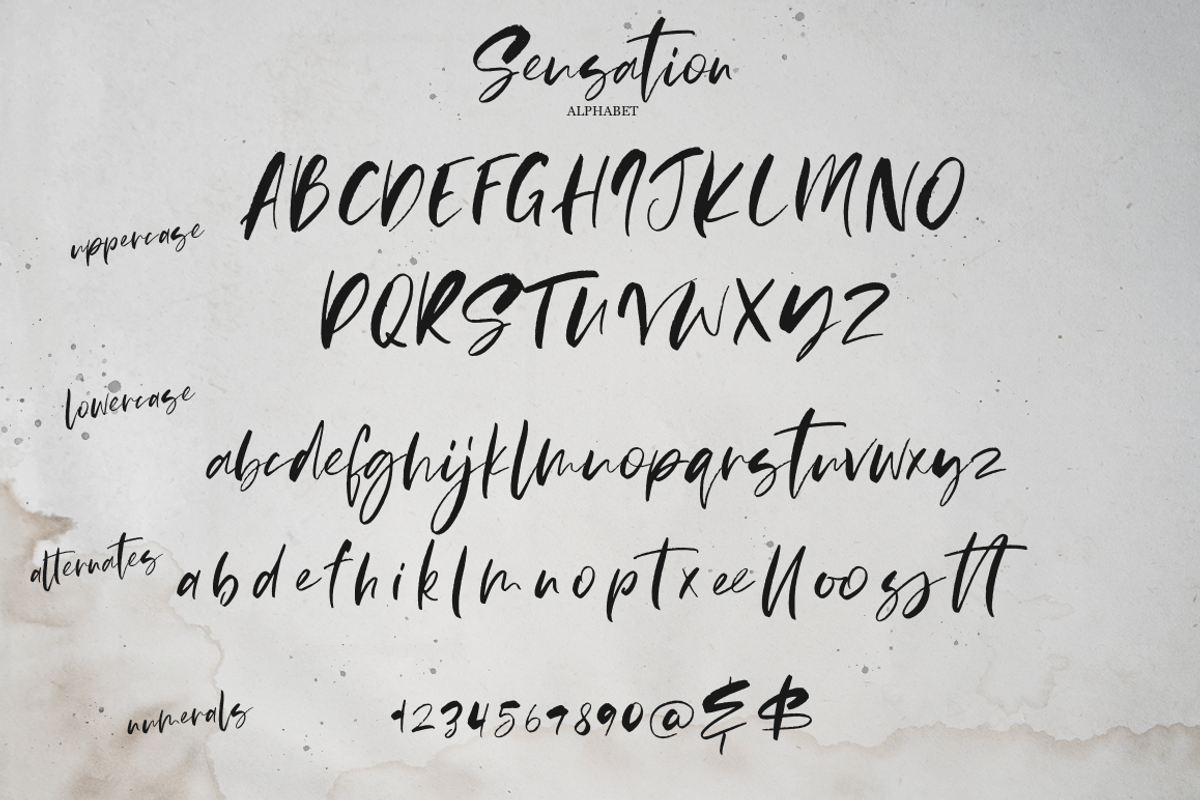 Sensation, a Script Font by Larin Type Co. (Photo 10 of 10)