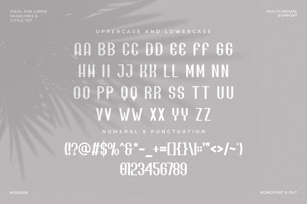 Pearce - Modern Sans Serif Font, a Sans Serif Font by overlaytemplates (Photo 4 of 4)