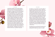 Sincerity Extra Bold, a Serif Font by OceaneM (Thumbnail 5 of 6)