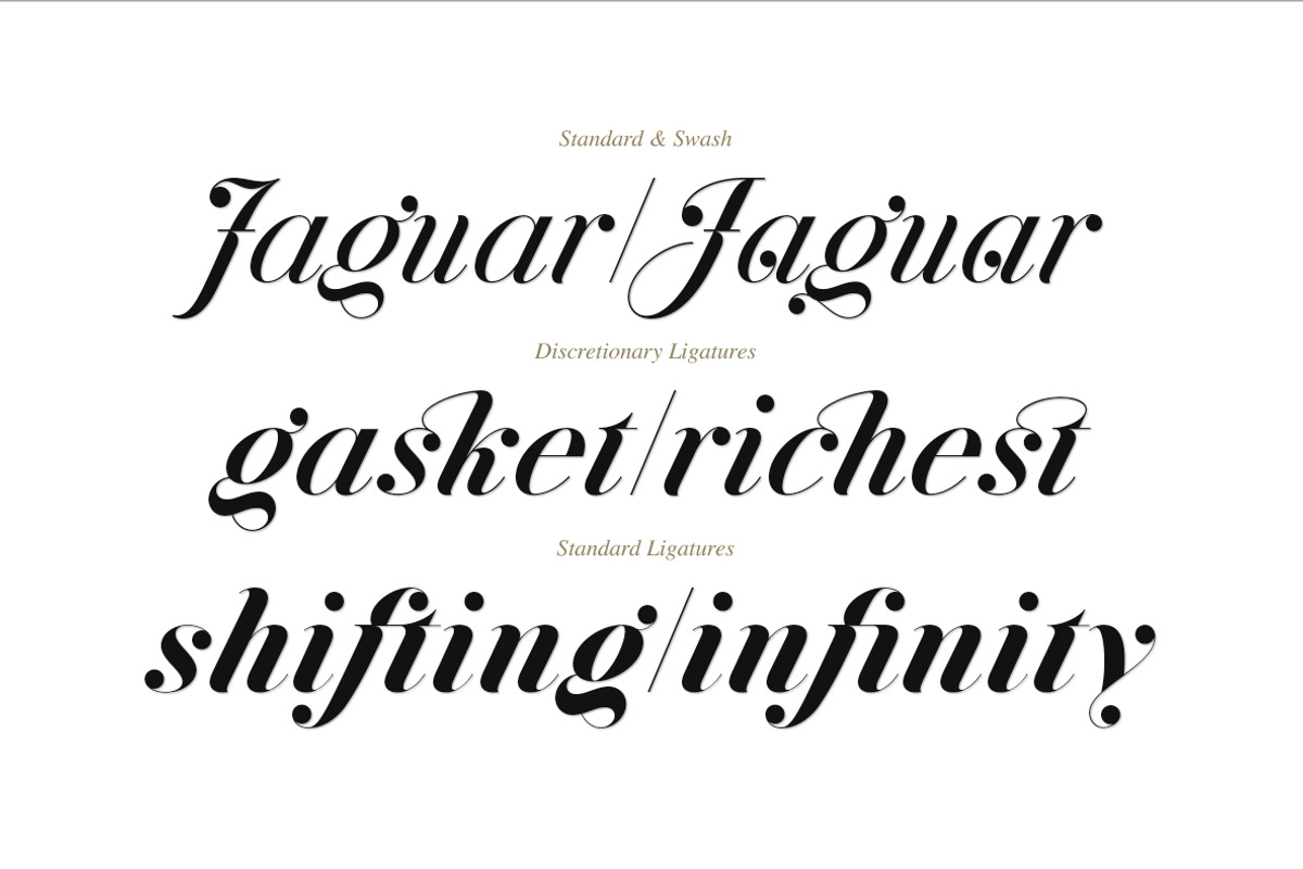Font Bundle | 25 in 1, a Sans Serif Font by Anthony James (Photo 16 of 45)