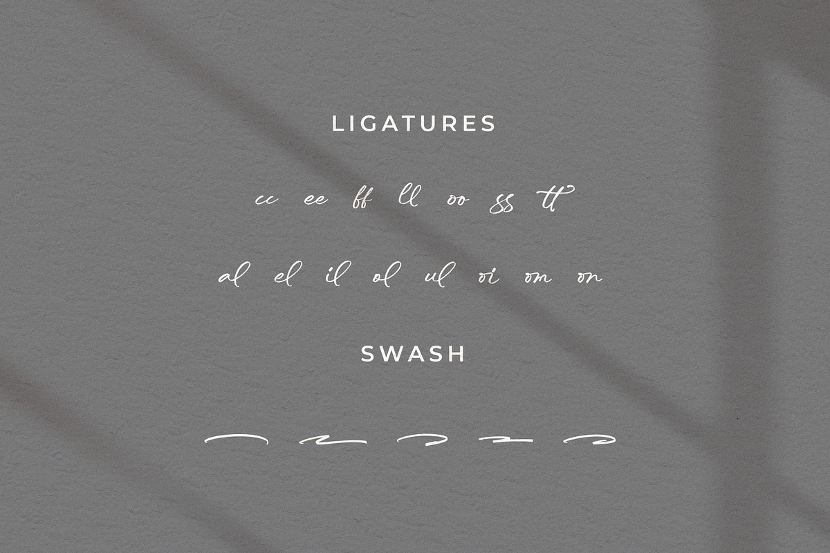 Trelasty Bettany, a Script Font by Integritype Studio (Photo 11 of 15)