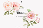 Watercolor June Flower Clipart Set, a Decorative Illustration by Patishop Art (Thumbnail 6 of 10)
