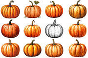 Watercolor Autumn Pumpkin Clipart, an Illustration by SinaCreation (Thumbnail 3 of 5)
