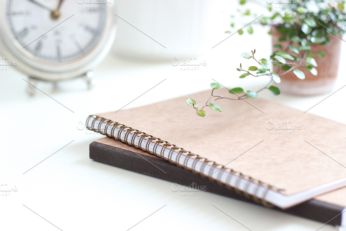 Neutral Collection | Styled Stock, a Business Photo by Chalking Up Stock (Photo 12 of 25)