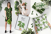 House plant watercolor collection, an Illustration by Color Hugs Art (Thumbnail 7 of 10)