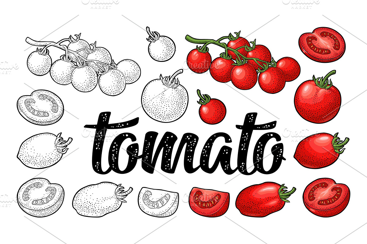 Set tomatoes. Branch, whole slice, an Illustration by MoreVector