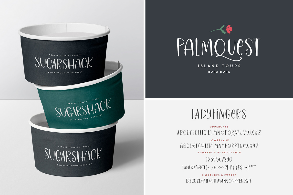 The Handwritten Font Bundle Vol. 2