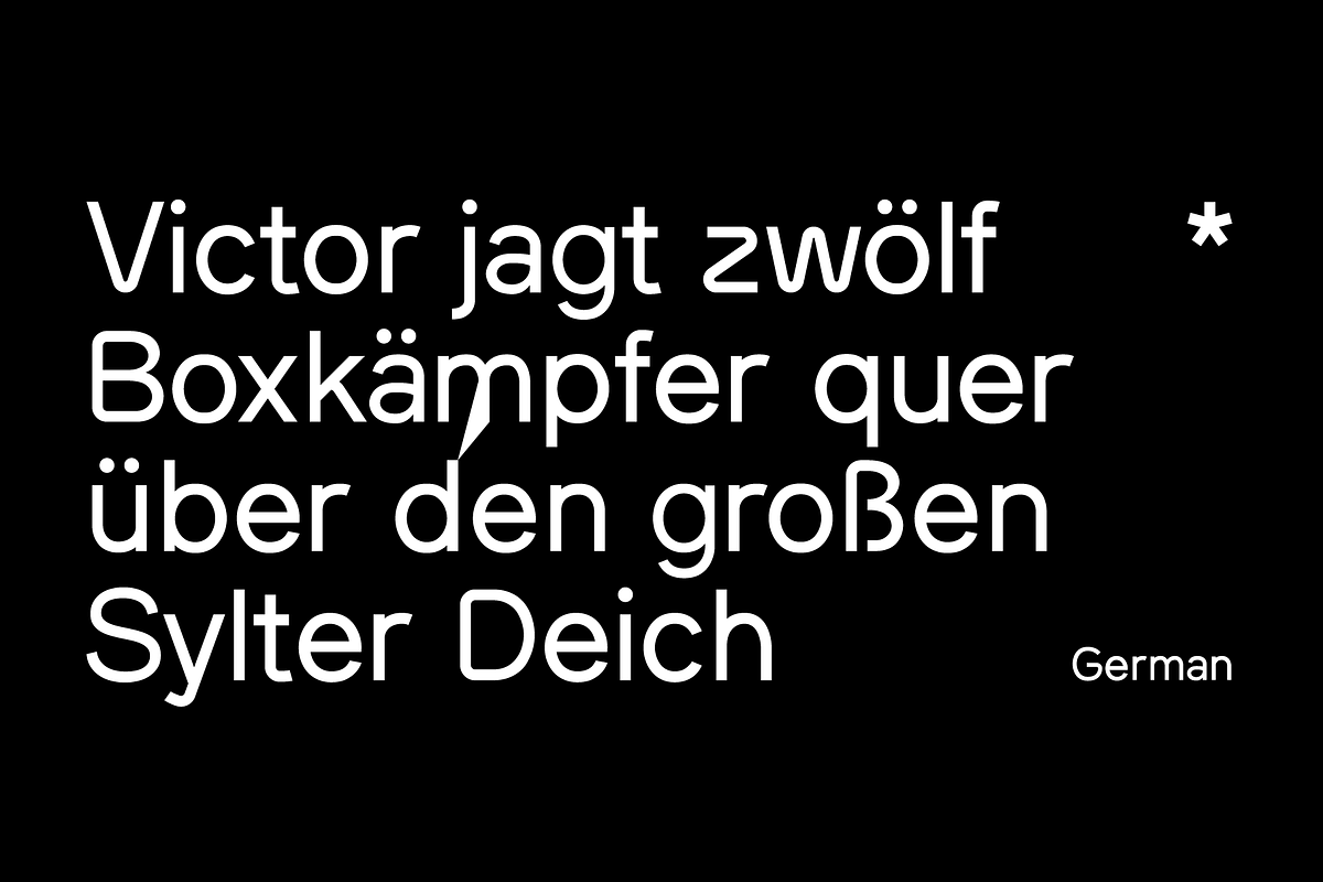 SK Curiosity, a Sans Serif Font by Salih Kizilkaya (Photo 14 of 15)